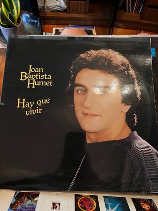 Lote de Vinilos Coleccionista 14 unidades