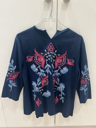 Camisa Zara ante bordada azul y rosa