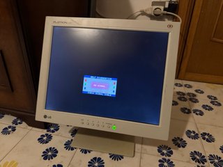 Monitor LG 15 pollici beige