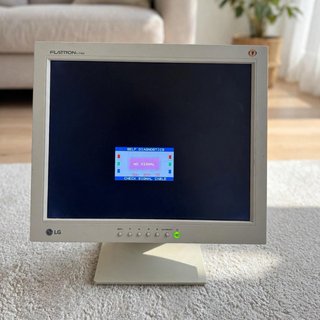 Monitor LG 15 pollici beige