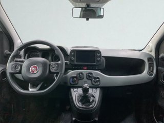 FIAT Panda 2021