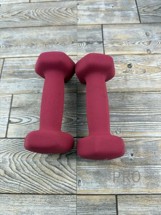 Set di 2 manubri - SONGMICS