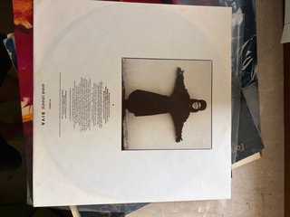 LP Annie Lennox Diva 1992