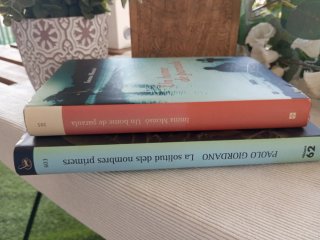 Lote/ Pack de 2 novelas Best Seller e CATALÁN
