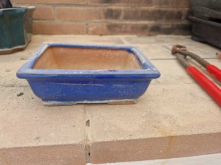 Maceta de cerámica para bonsái