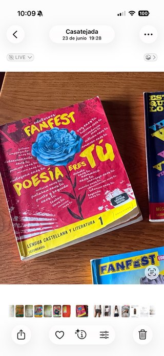 Lengua castellana y literatura 1 Secundaria