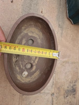 Maceta de terracota para bonsái