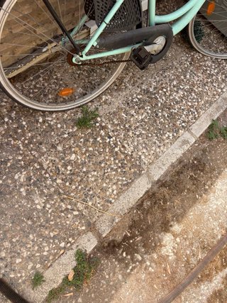 Bicicleta paseo Stream Mint