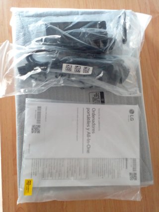 Portátil LG Nuevo Gris