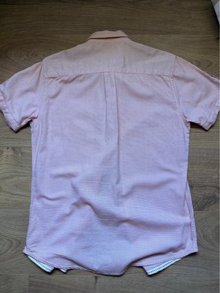 Camisa Springfield Talla M Rosa