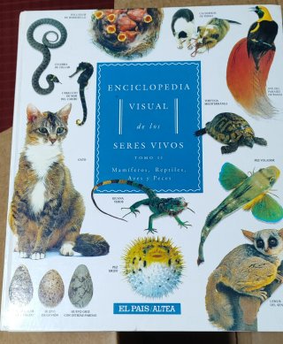 LIBROS DE ENSEÑANZA