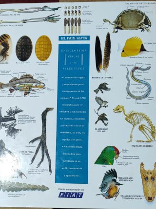 LIBROS DE ENSEÑANZA