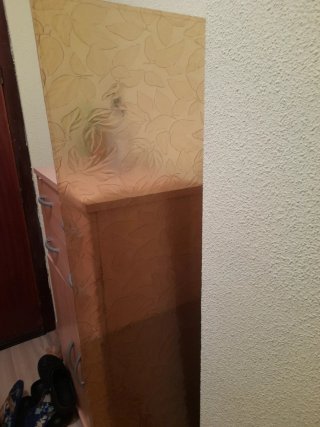 Cristal decorativo con hojas. Medias 41 cm x 136,5