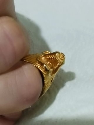 Anillo sello con forma de lobo en oro 24kl.