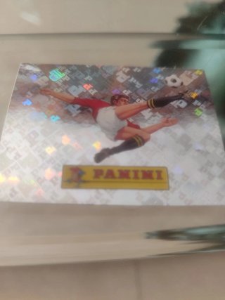 Cromos Panini Fútbol