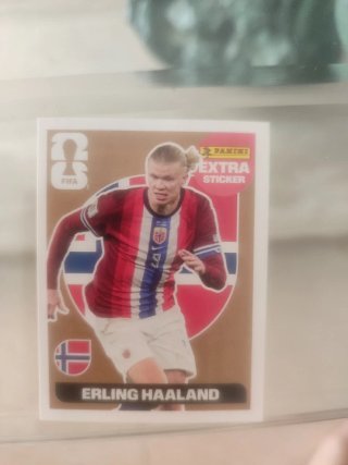 Cromo Erling Haaland Panini FIFA Extra Sticker