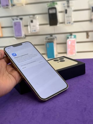 iPhone 13 Pro Max 256GB batteria 100%