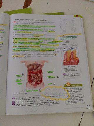 Biología y Geología. 3ESO