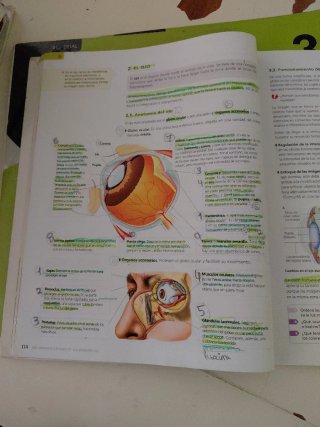 Biología y Geología. 3ESO