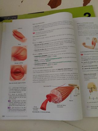 Biología y Geología. 3ESO