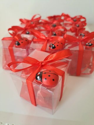 Bomboniere laurea coccinella rossa