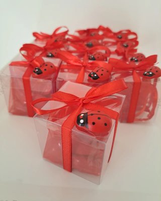 Bomboniere laurea coccinella rossa