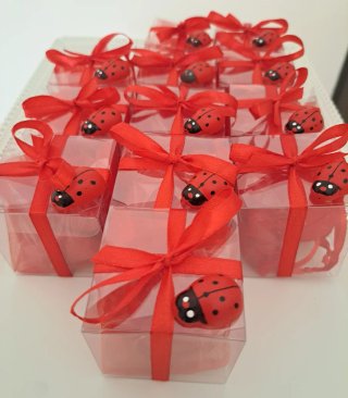 Bomboniere laurea coccinella rossa