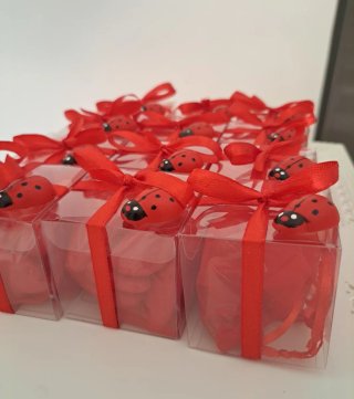Bomboniere laurea coccinella rossa