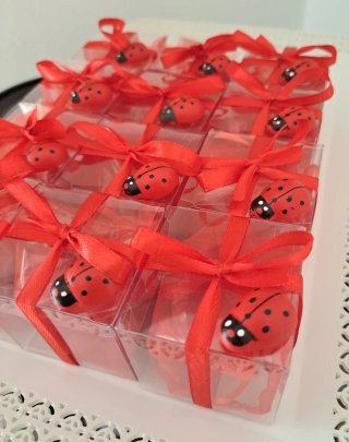 Bomboniere laurea coccinella rossa