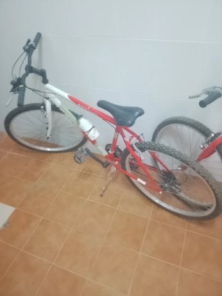 2 Bicicletas en buen estado una 30 y dos 50