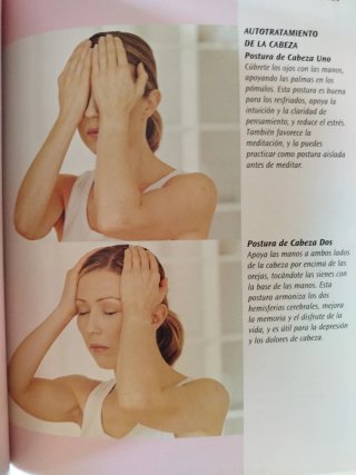 Libro Reiki