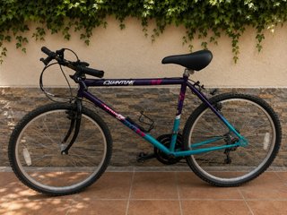 Bicicleta Quantum Skyliner Morado/Turquesa