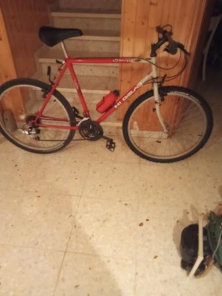 Bici de montaña