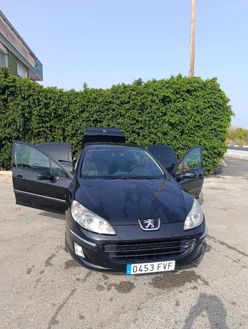 Peugeot 407 2006 - foto 1