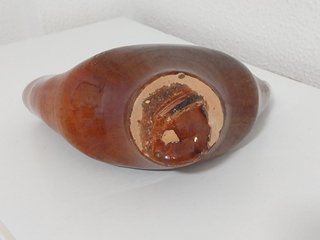 Antigua Jarra de Cebollas - Buño (Galicia)