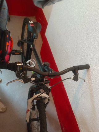 Bicicleta infantil Rock Raider