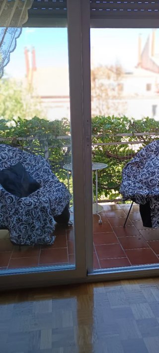 Lote de 2 Sillas Acapulco Metal y Plástico.