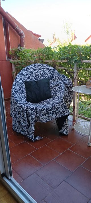 Lote de 2 Sillas Acapulco Metal y Plástico.
