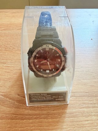 Reloj Casio Compass Thermometer
