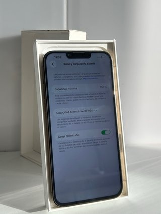 iPhone 13 Pro Max 256 GB 100%