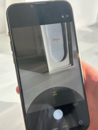 iPhone 13 Pro Max 256 GB 100%