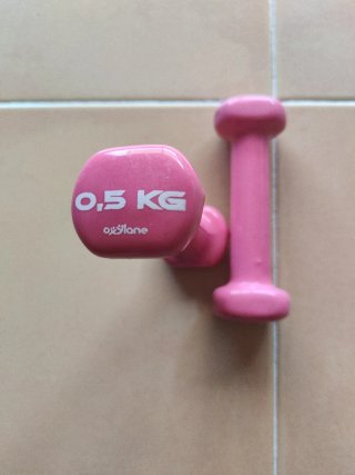 Manubri 0,5 kg (2 unità)