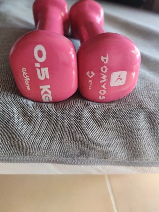 Manubri 0,5 kg (2 unità)
