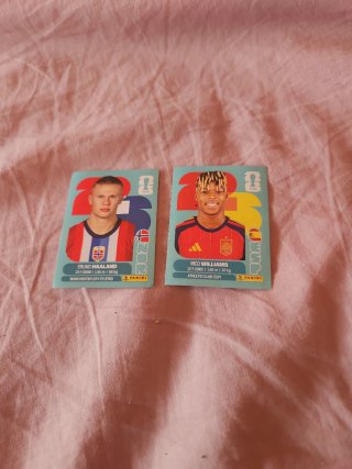 Cartas del mundial nico williams en 8€ y haland 4€