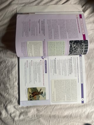 Història, 4 ESO, Projecte Construint mons