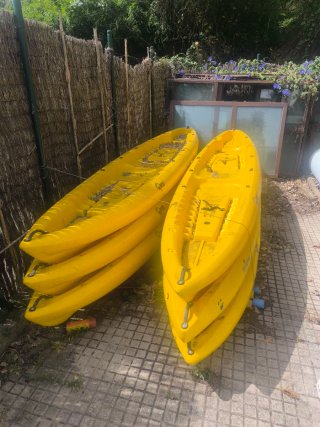 Kayak lote(6) o por unidad