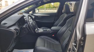 Lexus NX 2.5 300h F Sport Panorámico 4WD