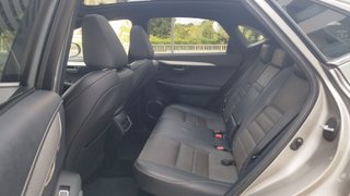 Lexus NX 2.5 300h F Sport Panorámico 4WD