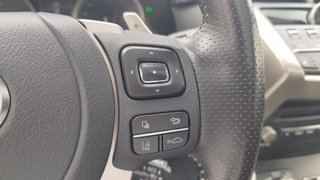 Lexus NX 2.5 300h F Sport Panorámico 4WD