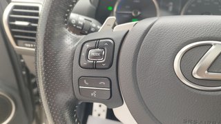 Lexus NX 2.5 300h F Sport Panorámico 4WD